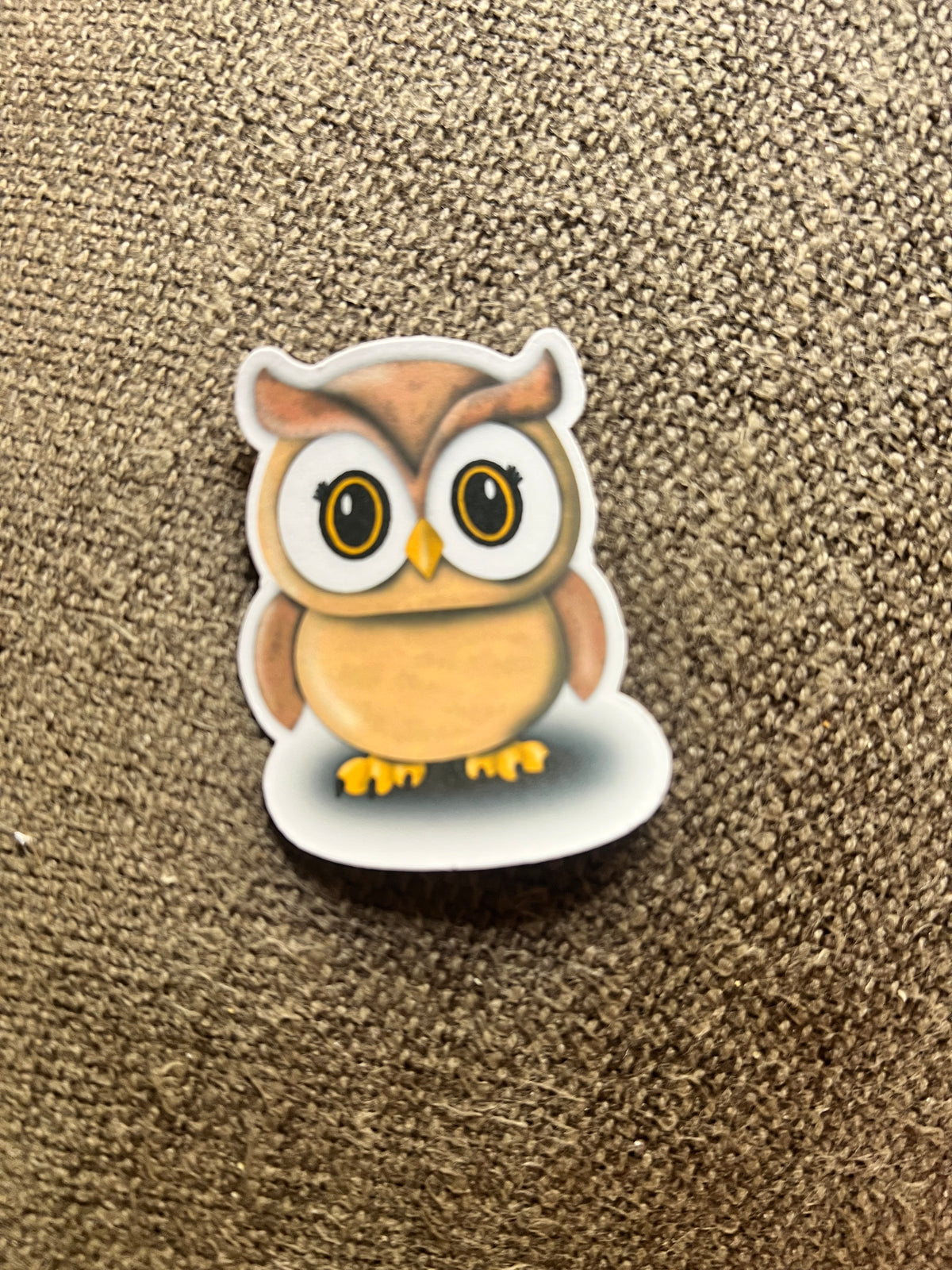 Owl