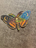 Autumn Celestial Moth
