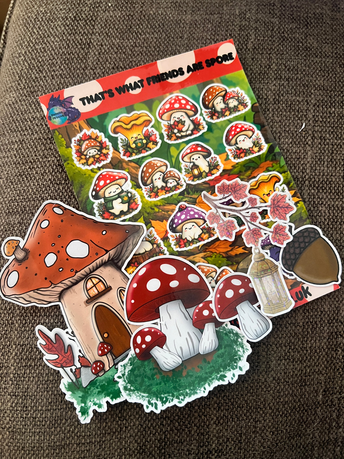 Mushroom Bundle